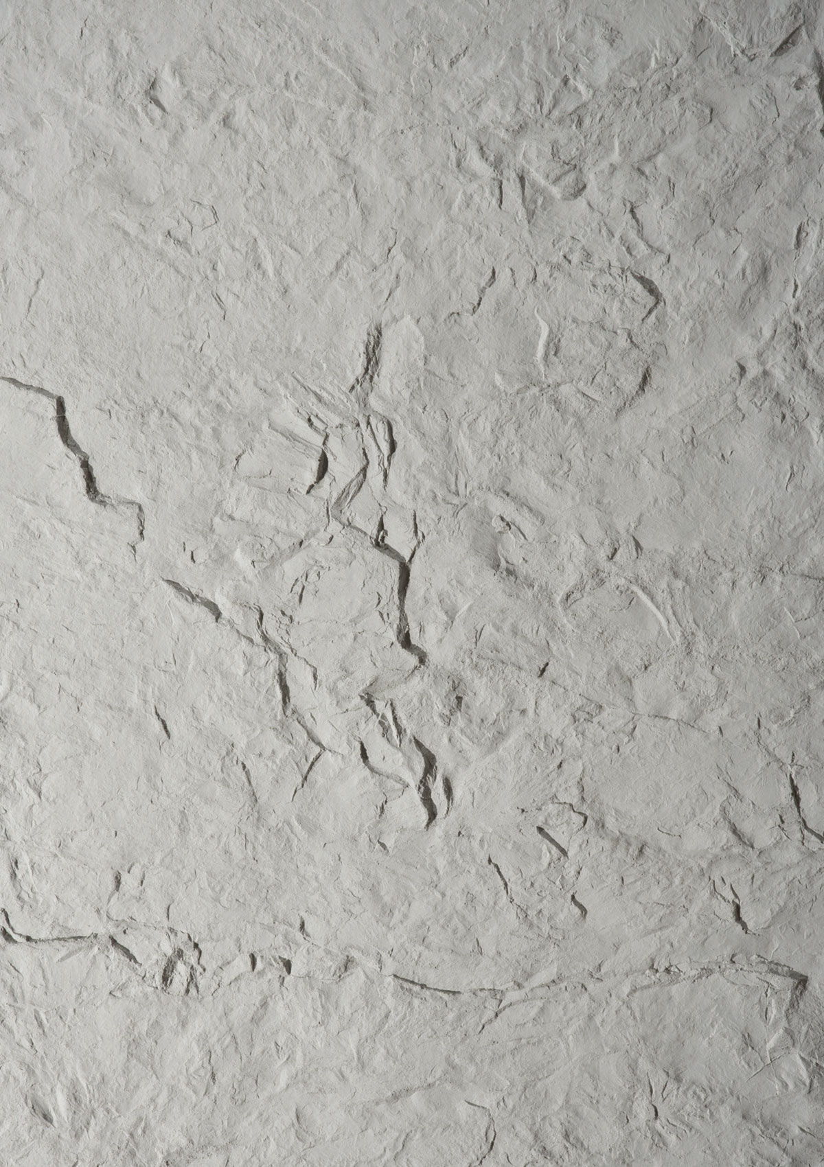 Coral Stone Duvar Paneli