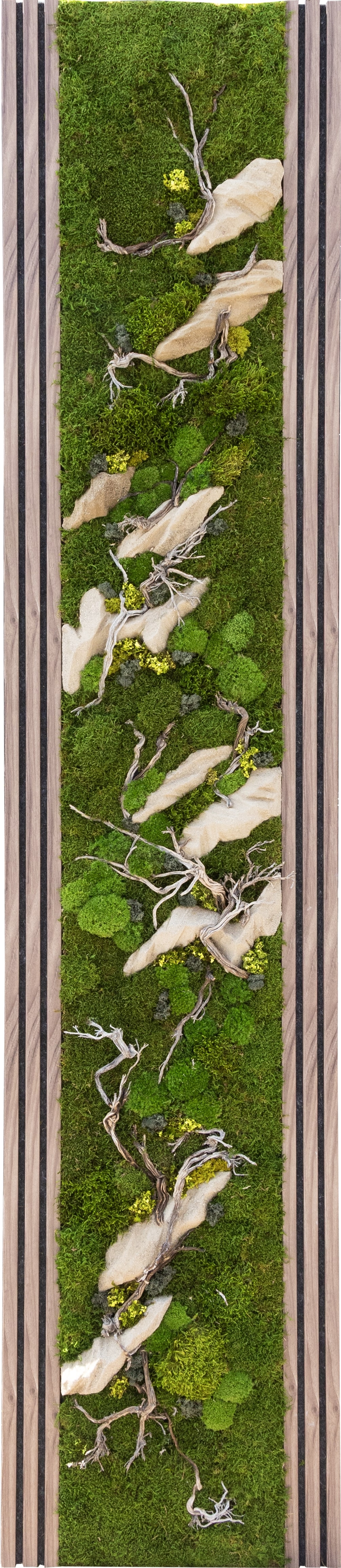 Silva Moss Bryum Duvar Profili