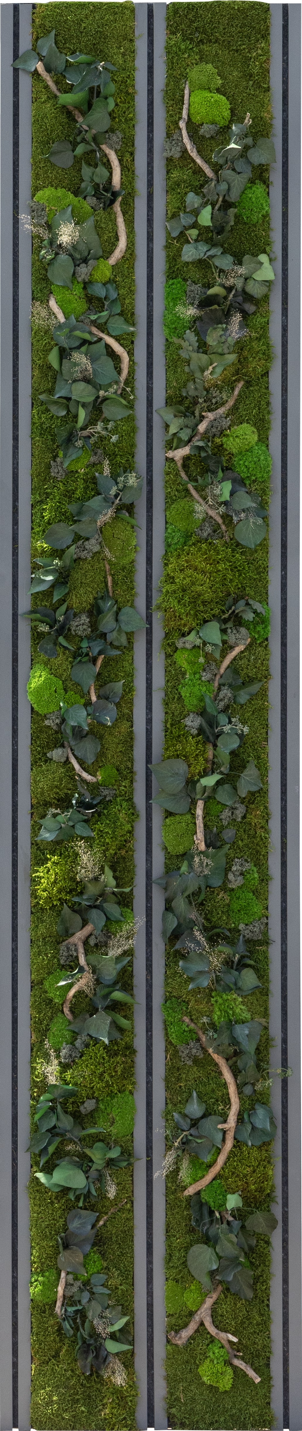 Silva Moss Hypnum Duvar Profili