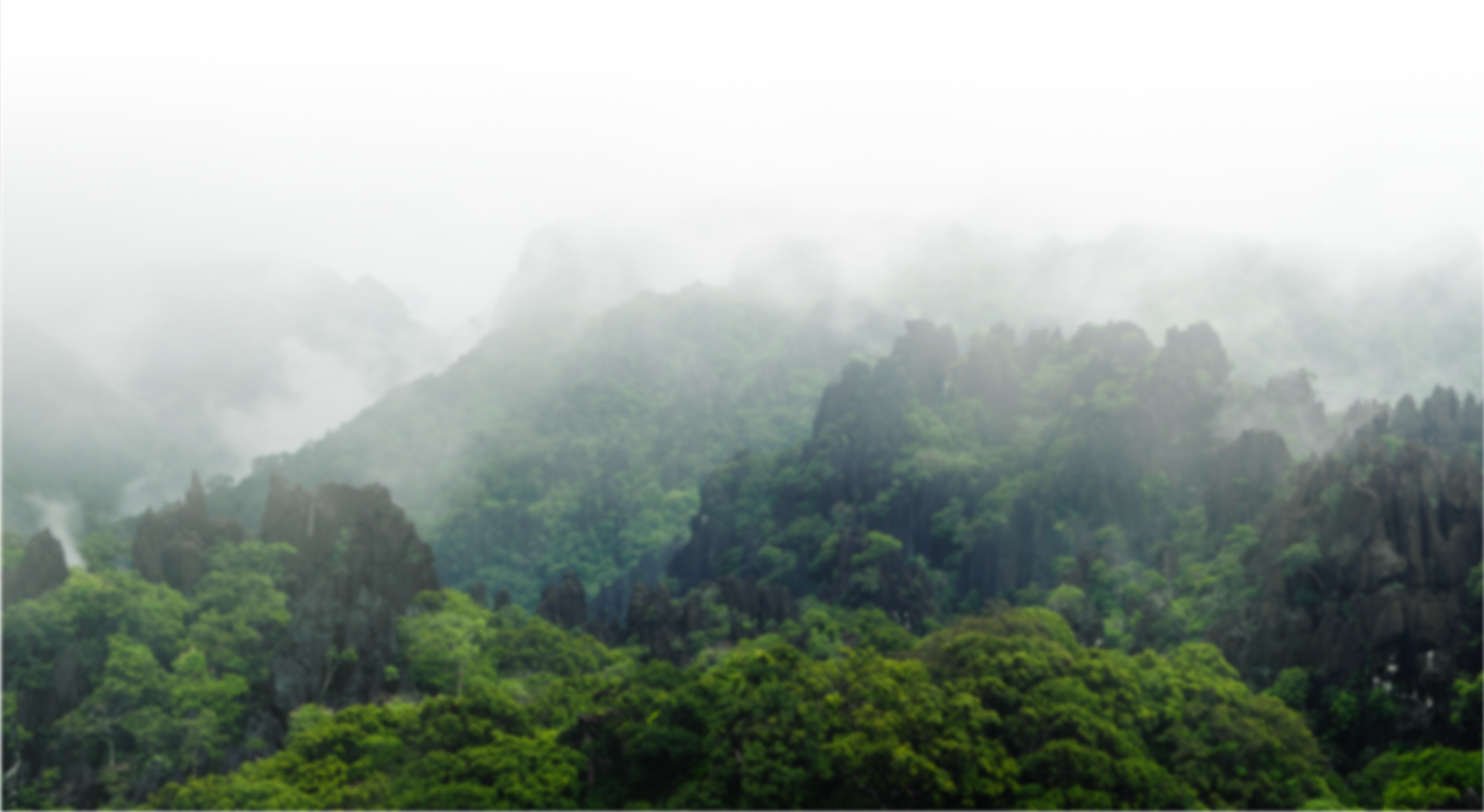 Ahşap Ürünler Slider Görseli